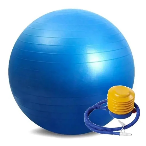 Pelota Esferodinamia de 55cm